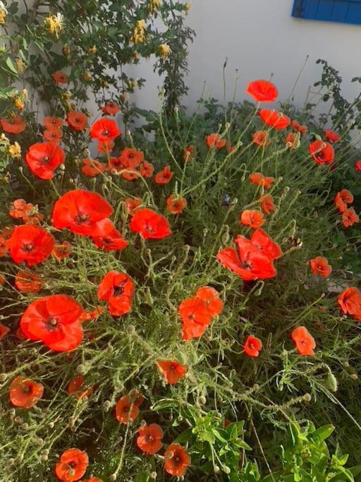 Maisonnette De Jardin Марсилия Екстериор снимка