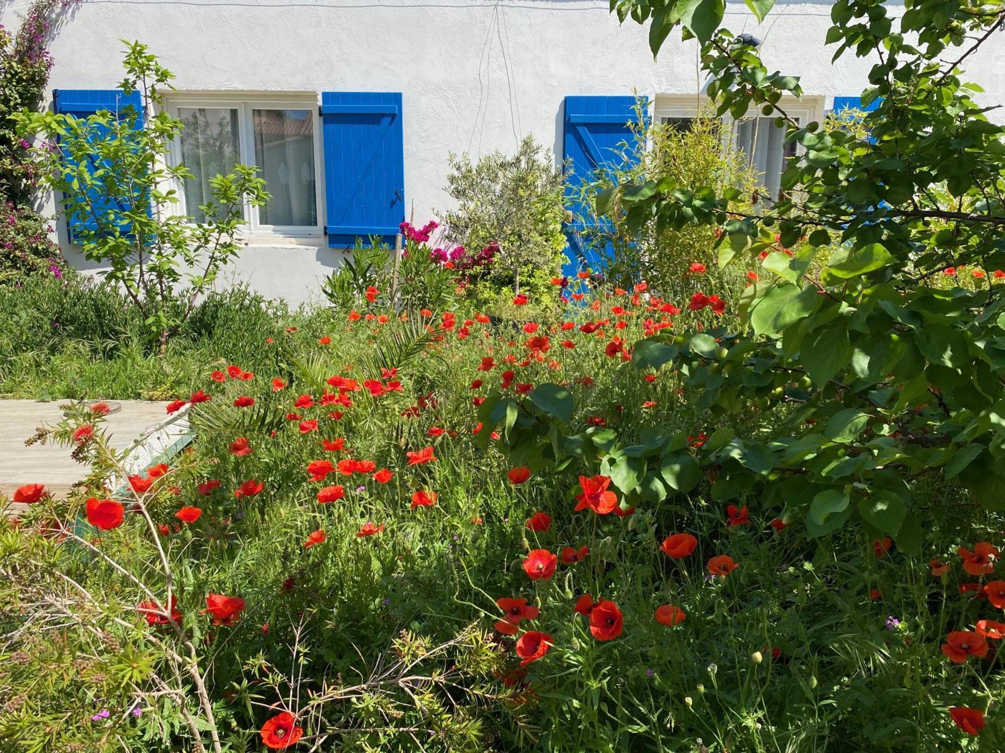 Maisonnette De Jardin Марсилия Екстериор снимка